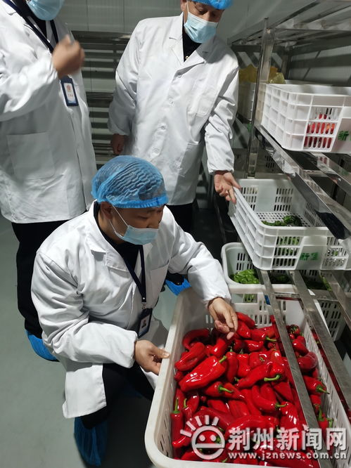 21种高风险食品禁入中小学幼儿园 沙市区开展专项检查