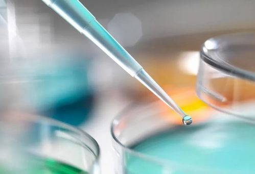 癌患,吃维生素需谨慎 小心促进肿瘤进展