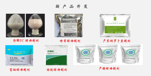 葡萄与葡萄酒研究中心