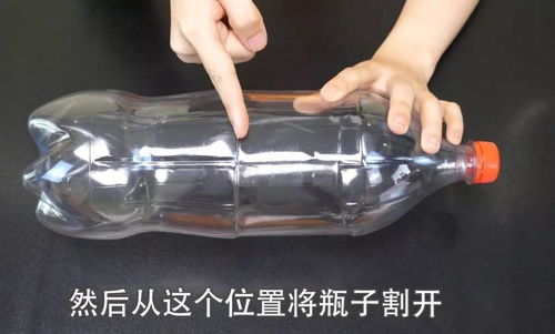 花盆不用再买啦,用塑料瓶制作花盆,自带浇水功能,比买的更好看