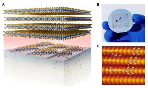 突破性成果 我国高校科研团队首创