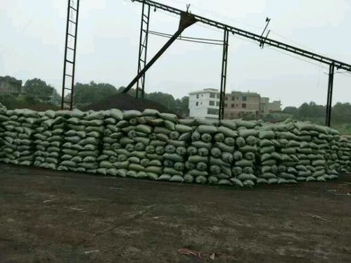 石城县过滤陶粒价格是多少