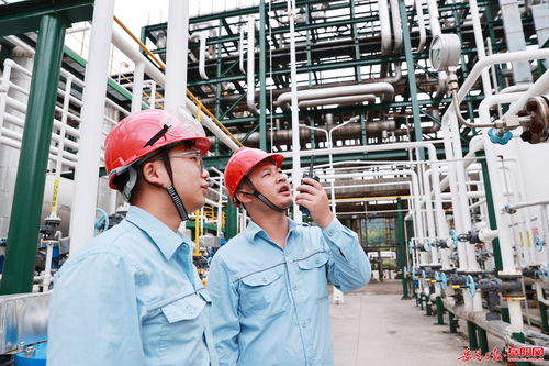 湖南石化 确保 三伏 后高温天气安全生产