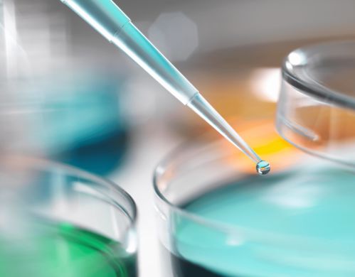 辟谣 长斑点的鸡蛋有沙门氏菌吗 买鸡蛋要看好这4点