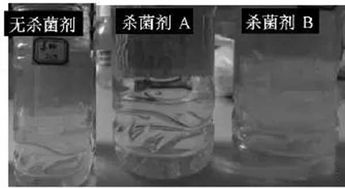 聚羧酸减水剂居然也需要防腐