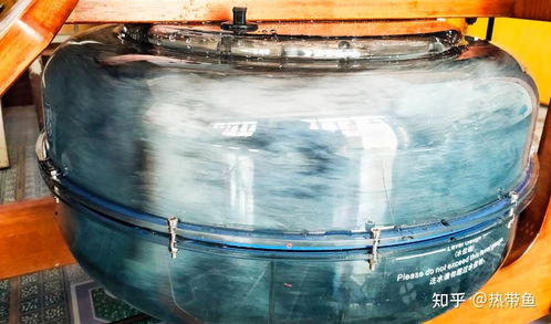 2024年高性价比划船机推荐,各品牌划船机怎么选 划船机哪个品牌好 海德 小莫 mok划船机最新款和热销款推荐