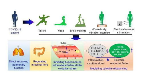 运动医学与健康科学 2021年第4期导读
