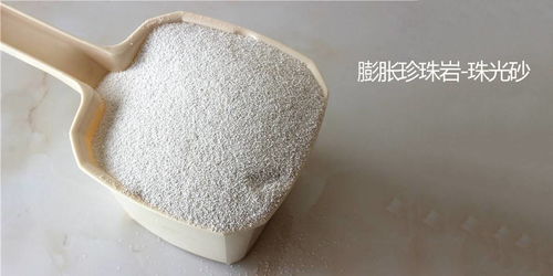 gb t 20313建筑材料及制品的湿热性能含湿率的测定 烘干法珠光砂含水量测试仪