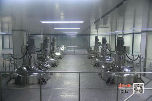 隐形冠军 走到舞台中央 写在温县通过 中国速食调味料之都 评审时