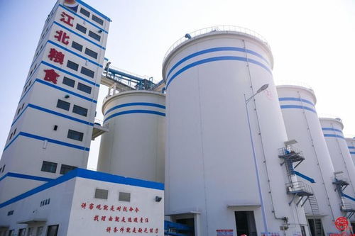 新质生产力赋能山东粮企 打造粮食产业高质量发展 动力引擎