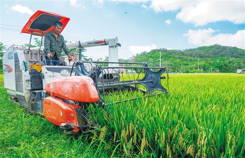 全球连线 相约消博会 高性能混凝土减水剂生产的创新与未来