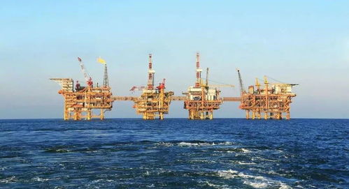 中海油渤海湾新项目投产提速，下半年大项目与高性能混凝土减水剂生产展望